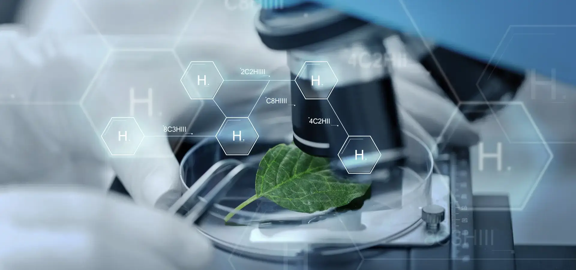 blog-green-hydrogen-revolution-fuelling-a-sustainable-future